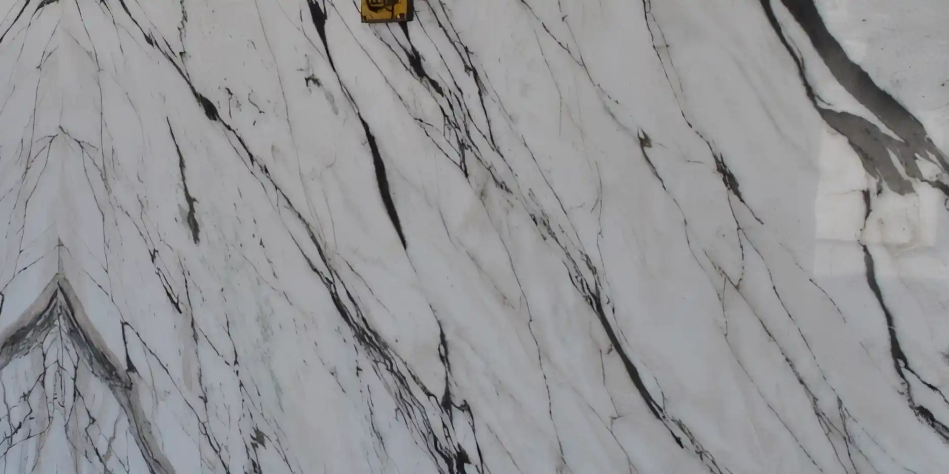 Panda White Marble